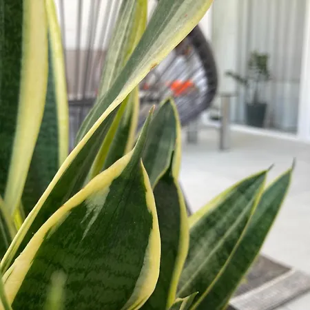 Vakantiehuis Almarea Open Space Di Sulemmari