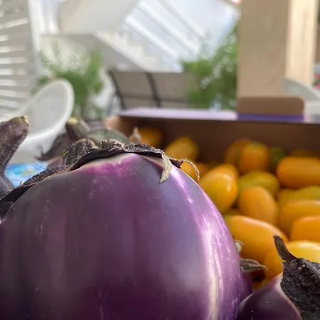 Vakantiehuis Almarea Open Space Di Sulemmari *