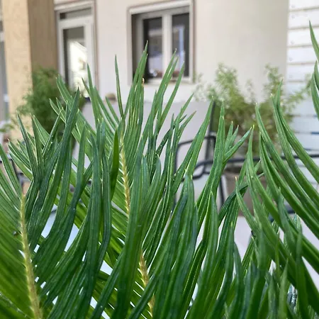 Almarea Open Space Di Sulemmari *